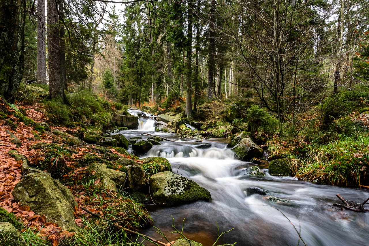 Wanderurlaub - Wandern im Harz  DEUTSCHLANDURLAUBER